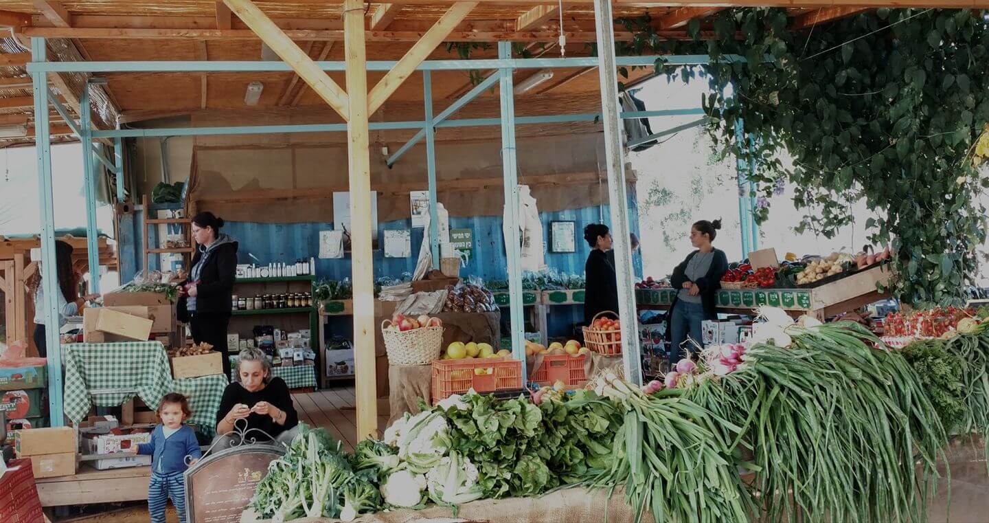 Greening My Produce Shopping